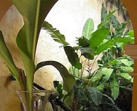 Casa Boutique Hortensia Cartagena